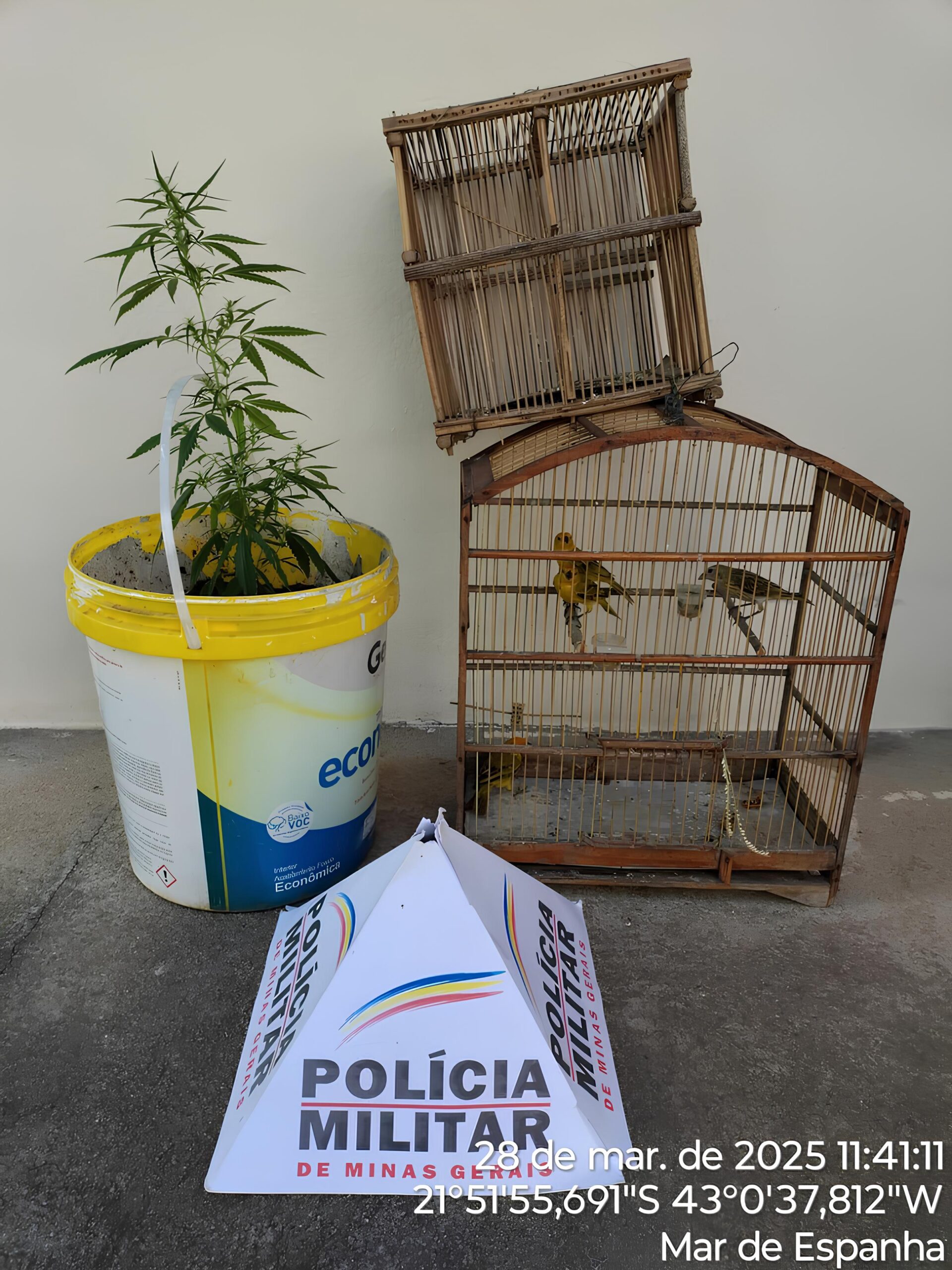 Juiz de Fora e Região: O Que a RCWTV Revela Sobre o Futuro da Informação Local 3 Juiz de Fora e Região: O Que a RCWTV Revela Sobre o Futuro da Informação Local Juiz de Fora e Regi o O Que a RCWTV Revela Sobre o Futuro da Informa o Local scaled Juiz de Fora e Região: O Que a RCWTV Revela Sobre o Futuro da Informação Local