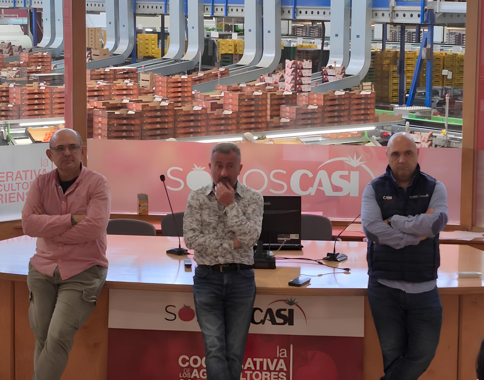 O Segredo dos Tomates de Almería: Como a Cooperativa Casi Transformou o Mercado Global de Hortaliças 3 O Segredo dos Tomates de Almería: Como a Cooperativa Casi Transformou o Mercado Global de Hortaliças O Segredo dos Tomates de Almer a Como a Cooperativa Casi Transformou o Mercado Global de Hortali as O Segredo dos Tomates de Almería: Como a Cooperativa Casi Transformou o Mercado Global de Hortaliças
