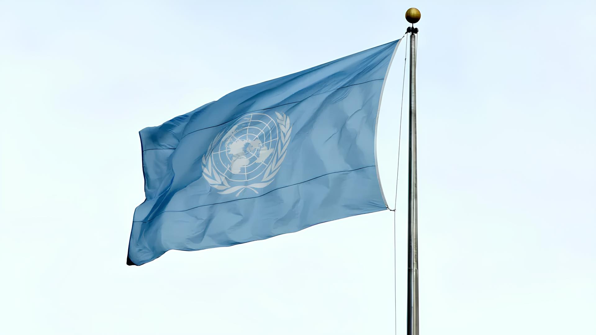 Crianças na Linha de Frente: A Urgência de Proteger Menores Migrantes na Espanha e o Chamado da ONU para uma Ação Global 3 Crianças na Linha de Frente: A Urgência de Proteger Menores Migrantes na Espanha e o Chamado da ONU para uma Ação Global Crian as na Linha de Frente A Urg ncia de Proteger Menores Migrantes na Espanha e o Chamado da ONU para uma A o Global Crianças na Linha de Frente: A Urgência de Proteger Menores Migrantes na Espanha e o Chamado da ONU para uma Ação Global