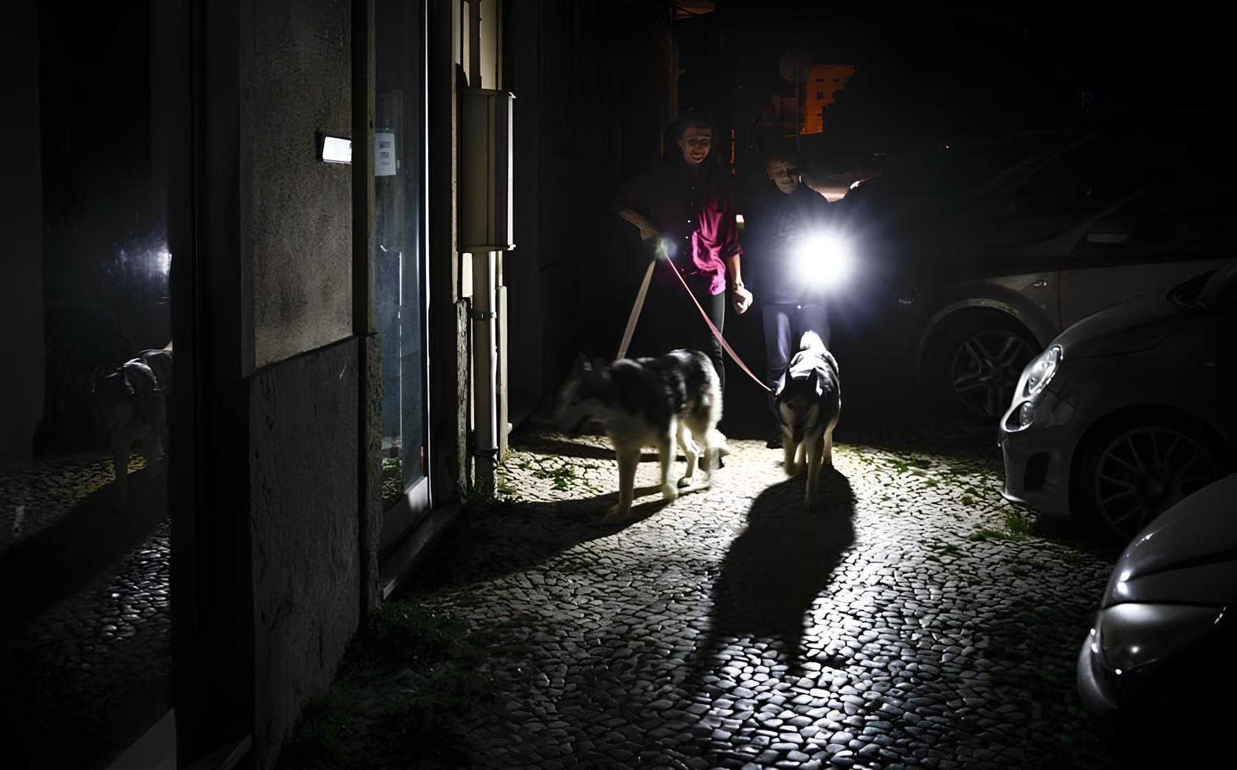 O Caso do Apagão Energético: Como a Europa Luta Contra um Colapso de Interconexões 3 O Caso do Apagão Energético: Como a Europa Luta Contra um Colapso de Interconexões O Caso do Apagão Energético: Como a Europa Luta Contra um Colapso de Interconexões