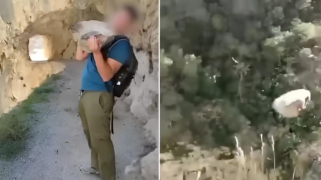 O Preço de Uma Pedra: Como Um Ataque de Raiva Pode Custar R$ 1,3 Milhão a Um Turista Desavisado 3 O Preço de Uma Pedra: Como Um Ataque de Raiva Pode Custar R$ 1,3 Milhão a Um Turista Desavisado O Pre o de Uma Pedra Como Um Ataque de Raiva Pode Custar R 1 3 Milh o a Um Turista Desavisado O Preço de Uma Pedra: Como Um Ataque de Raiva Pode Custar R$ 1,3 Milhão a Um Turista Desavisado