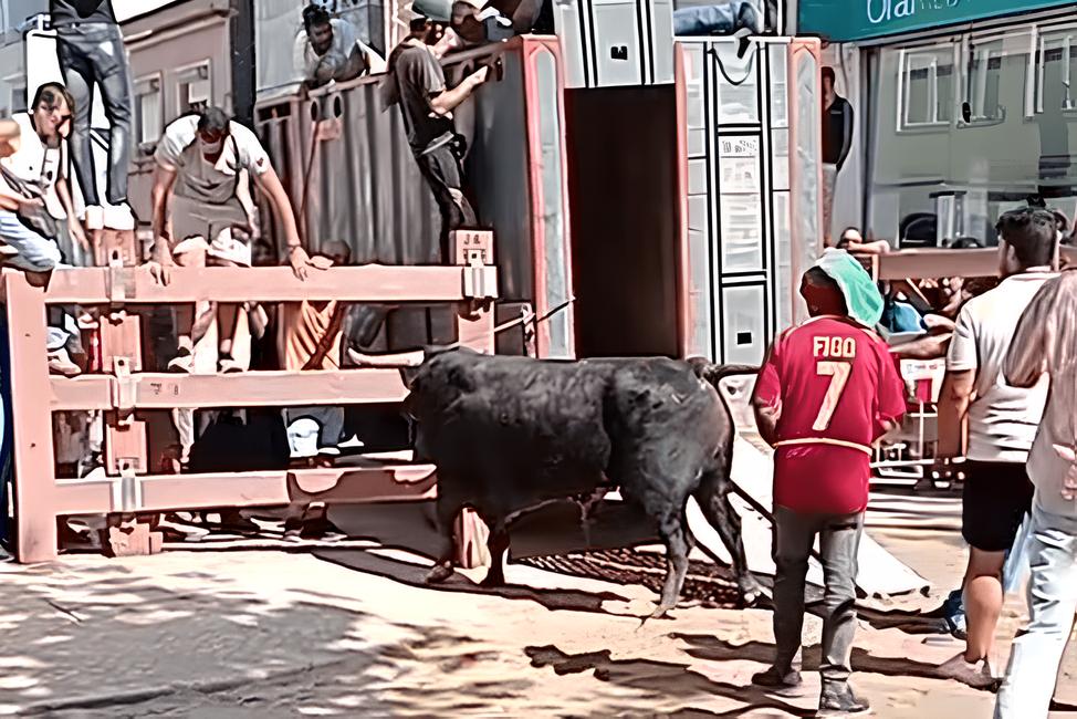 Quando a Natureza se Torna Perigosa: A Trágica História de um Casal Colhido por Bovinos em Espanha 3 Quando a Natureza se Torna Perigosa: A Trágica História de um Casal Colhido por Bovinos em Espanha Quando a Natureza se Torna Perigosa A Tr gica Hist ria de um Casal Colhido por Bovinos em Espanha Quando a Natureza se Torna Perigosa: A Trágica História de um Casal Colhido por Bovinos em Espanha