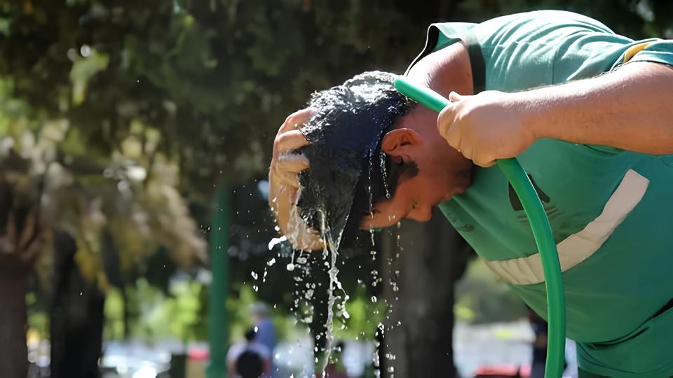 Quando o Calor Virou Inimigo: A Trágica História de uma Funcionária de Limpeza em Barcelona 3 Quando o Calor Virou Inimigo: A Trágica História de uma Funcionária de Limpeza em Barcelona Quando o Calor Virou Inimigo A Tr gica Hist ria de uma Funcion ria de Limpeza em Barcelona Quando o Calor Virou Inimigo: A Trágica História de uma Funcionária de Limpeza em Barcelona