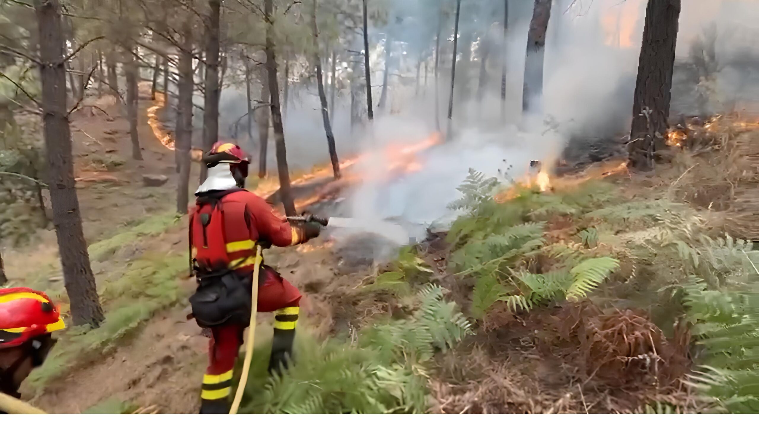 Incêndios na Espanha: Como a Natureza Está Pedindo Socorro e o Que Podemos Aprender com Isso 1 Incêndios na Espanha: Como a Natureza Está Pedindo Socorro e o Que Podemos Aprender com Isso Inc ndios na Espanha Como a Natureza Est Pedindo Socorro e o Que Podemos Aprender com Isso scaled Incêndios na Espanha: Como a Natureza Está Pedindo Socorro e o Que Podemos Aprender com Isso