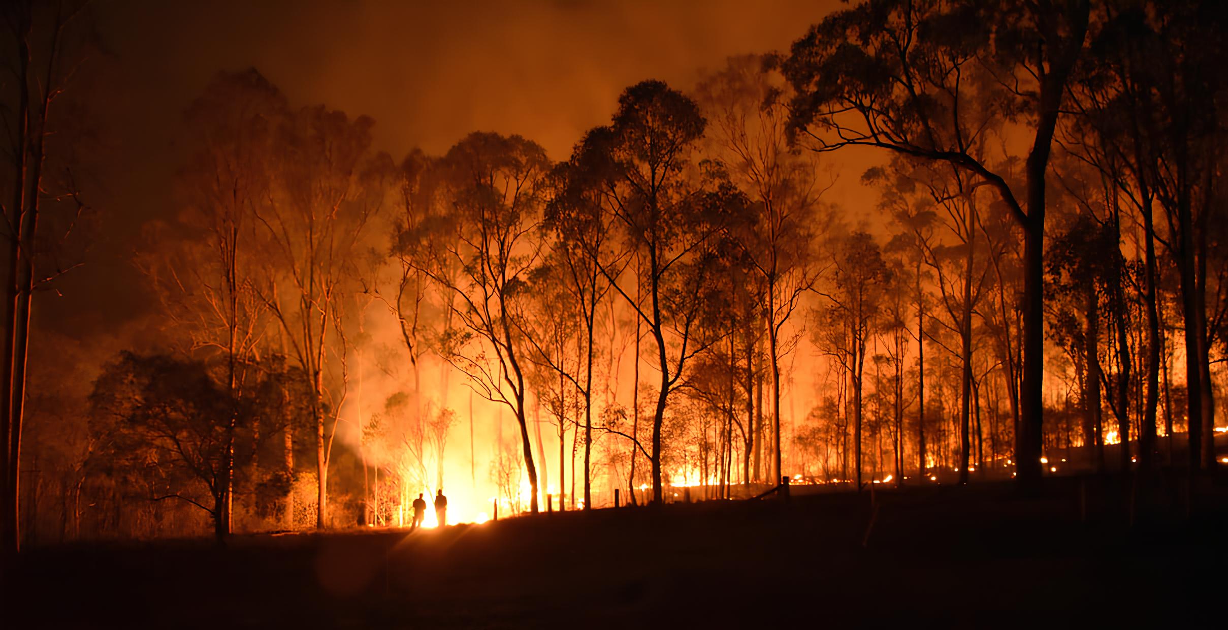 Incêndios em Espanha: A Catástrofe Silenciosa Que Devora o Futuro da Biodiversidade 1 Incêndios em Espanha: A Catástrofe Silenciosa Que Devora o Futuro da Biodiversidade Inc ndios em Espanha A Cat strofe Silenciosa Que Devora o Futuro da Biodiversidade Incêndios em Espanha: A Catástrofe Silenciosa Que Devora o Futuro da Biodiversidade