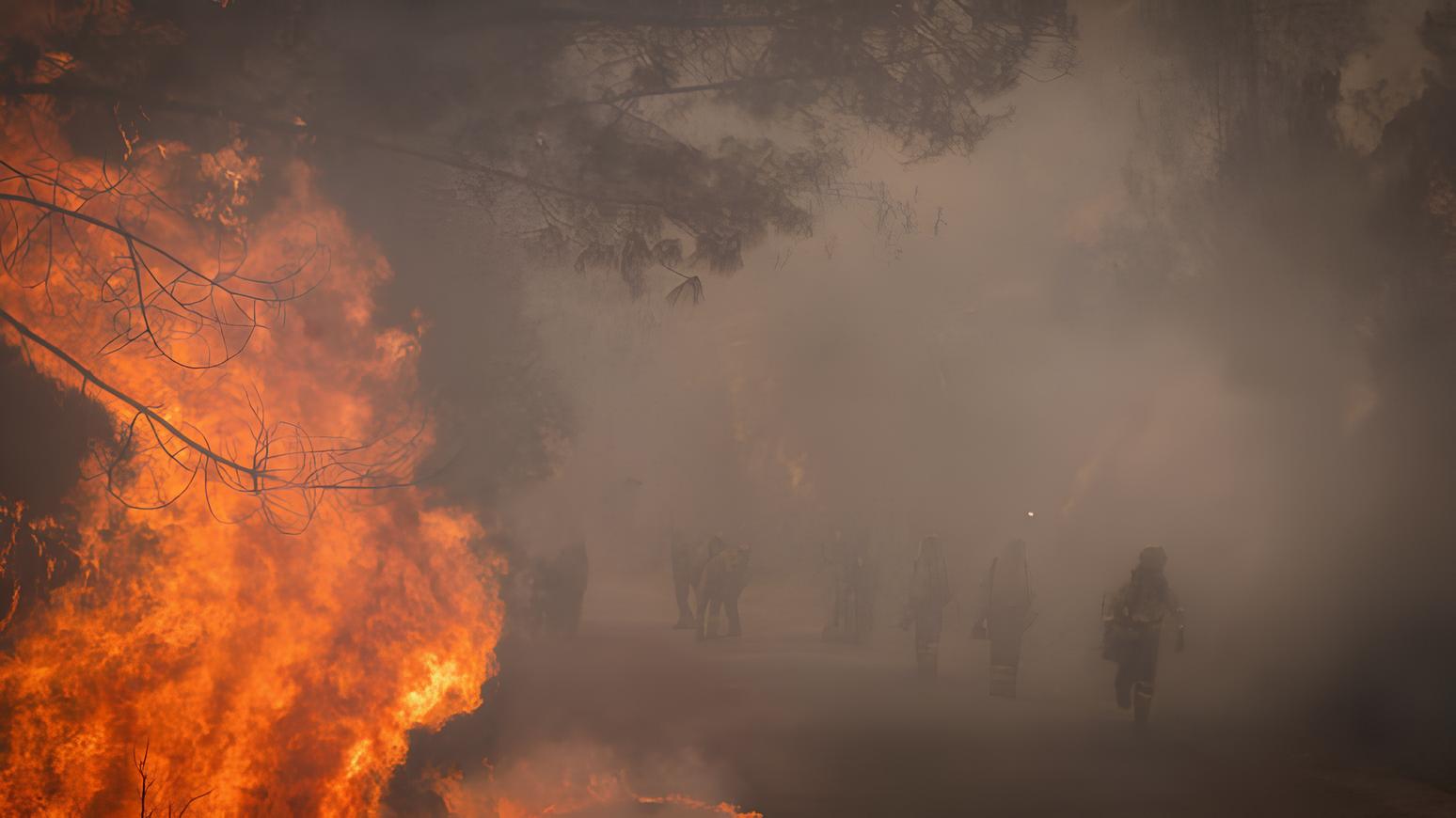 Ondas de Fogo: Como a Espanha Está Perdendo Sua Batalha Contra os Incêndios Florestais e o Que Isso Significa Para o Futuro do Nosso Planeta 1 Ondas de Fogo: Como a Espanha Está Perdendo Sua Batalha Contra os Incêndios Florestais e o Que Isso Significa Para o Futuro do Nosso Planeta Ondas de Fogo Como a Espanha Est Perdendo Sua Batalha Contra os Inc ndios Florestais e o Que Isso Significa Para o Futuro do Nosso Planeta Ondas de Fogo: Como a Espanha Está Perdendo Sua Batalha Contra os Incêndios Florestais e o Que Isso Significa Para o Futuro do Nosso Planeta
