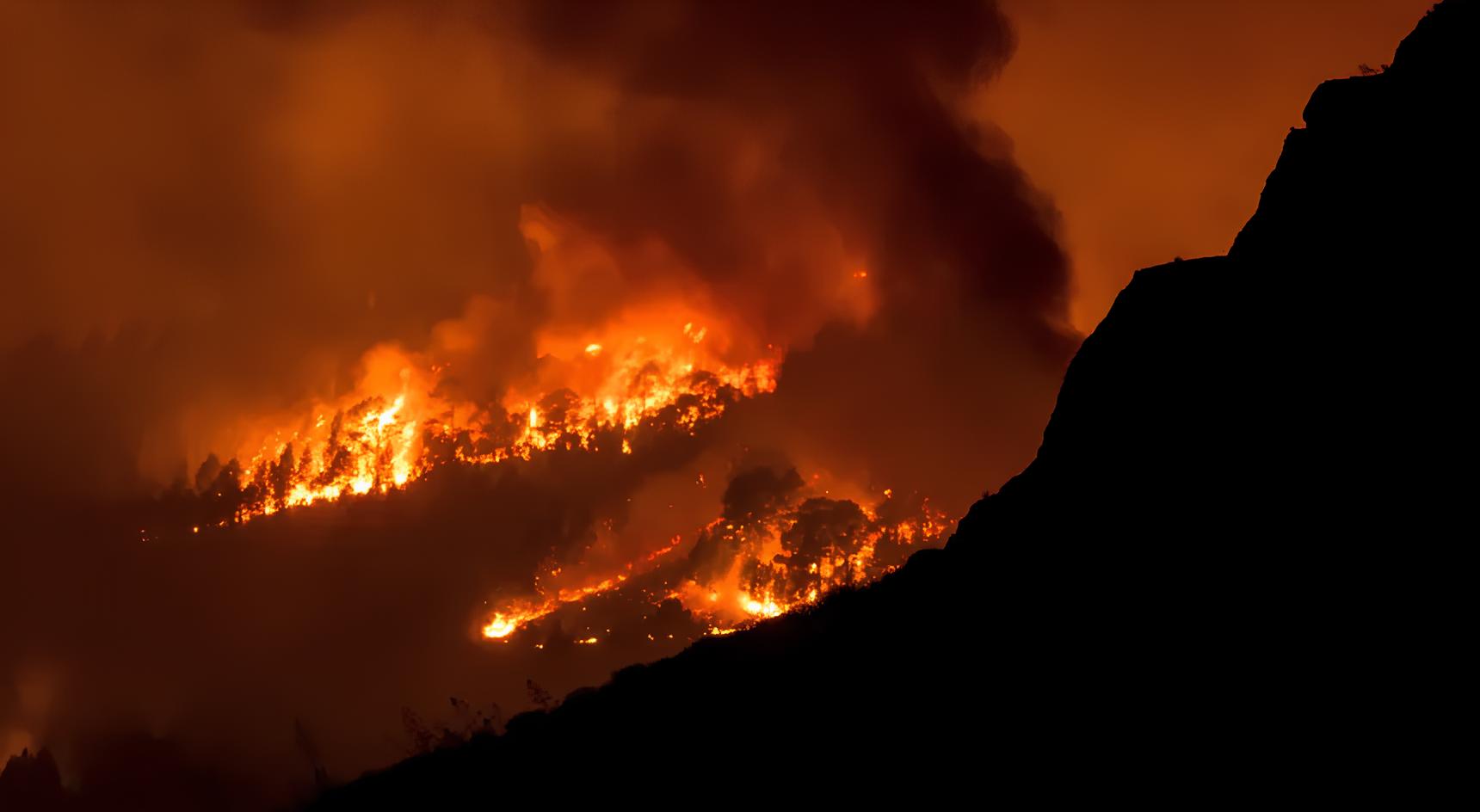 Por Que Espanha Declara Zona de Catástrofe em Áreas Devastadas por 113 Grandes Fogos? 1 Por Que Espanha Declara Zona de Catástrofe em Áreas Devastadas por 113 Grandes Fogos? Por Que Espanha Declara Zona de Cat strofe em reas Devastadas por 113 Grandes Fogos Por Que Espanha Declara Zona de Catástrofe em Áreas Devastadas por 113 Grandes Fogos?