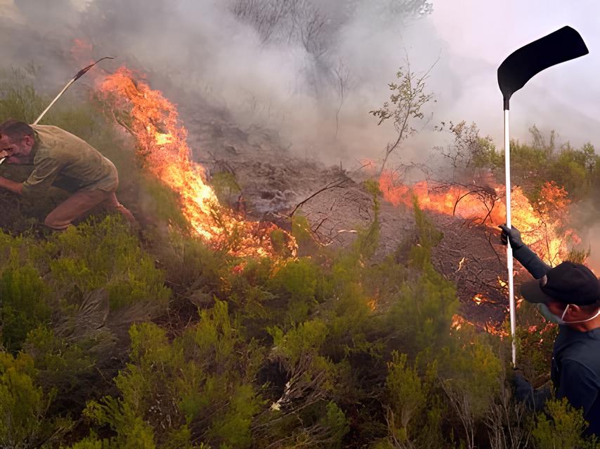 Treze Chamas Furiosas: A Batalha Contra os Incêndios Que Devoram Espanha 1 Treze Chamas Furiosas: A Batalha Contra os Incêndios Que Devoram Espanha Treze Chamas Furiosas A Batalha Contra os Inc ndios Que Devoram Espanha Treze Chamas Furiosas: A Batalha Contra os Incêndios Que Devoram Espanha