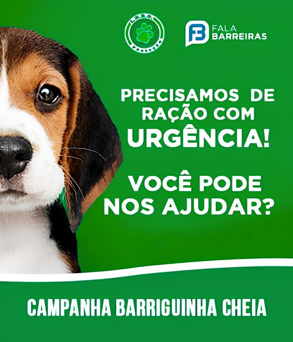 Corações em Festa: O Casamento Coletivo que Transforma Vidas no Oeste da Bahia 1 Corações em Festa: O Casamento Coletivo que Transforma Vidas no Oeste da Bahia Cora es em Festa O Casamento Coletivo que Transforma Vidas no Oeste da Bahia Corações em Festa: O Casamento Coletivo que Transforma Vidas no Oeste da Bahia
